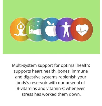 Blood sugar support vitamins